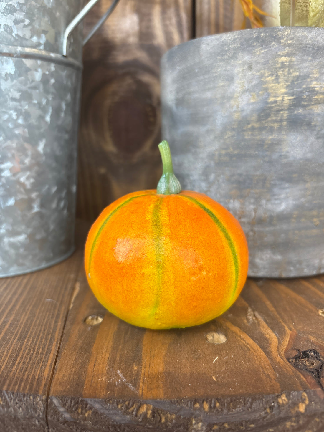 Gourds