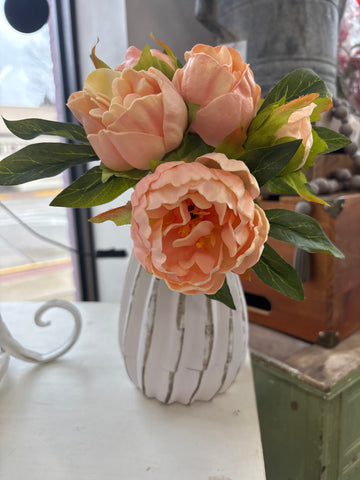 Peach Peony Bundle - 11"
