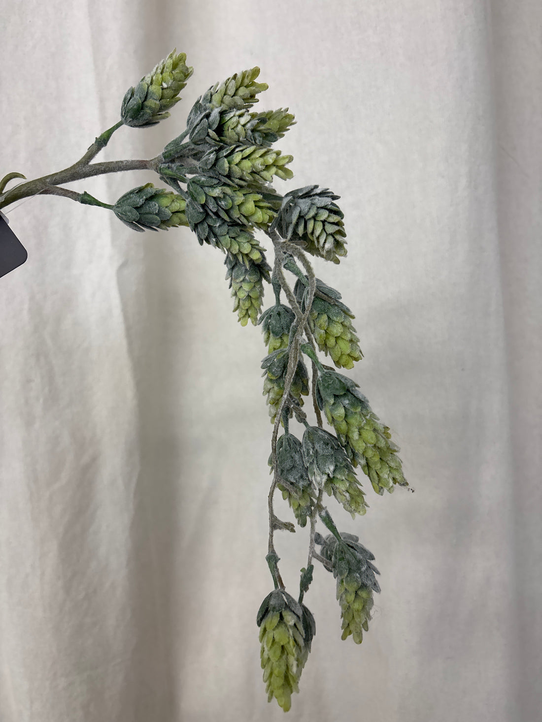 Hop Pick - 21"