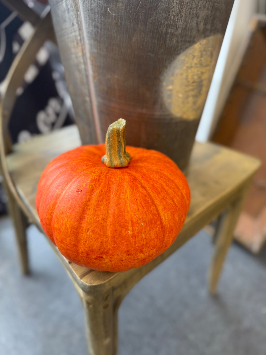 Pumpkins - 7.5"