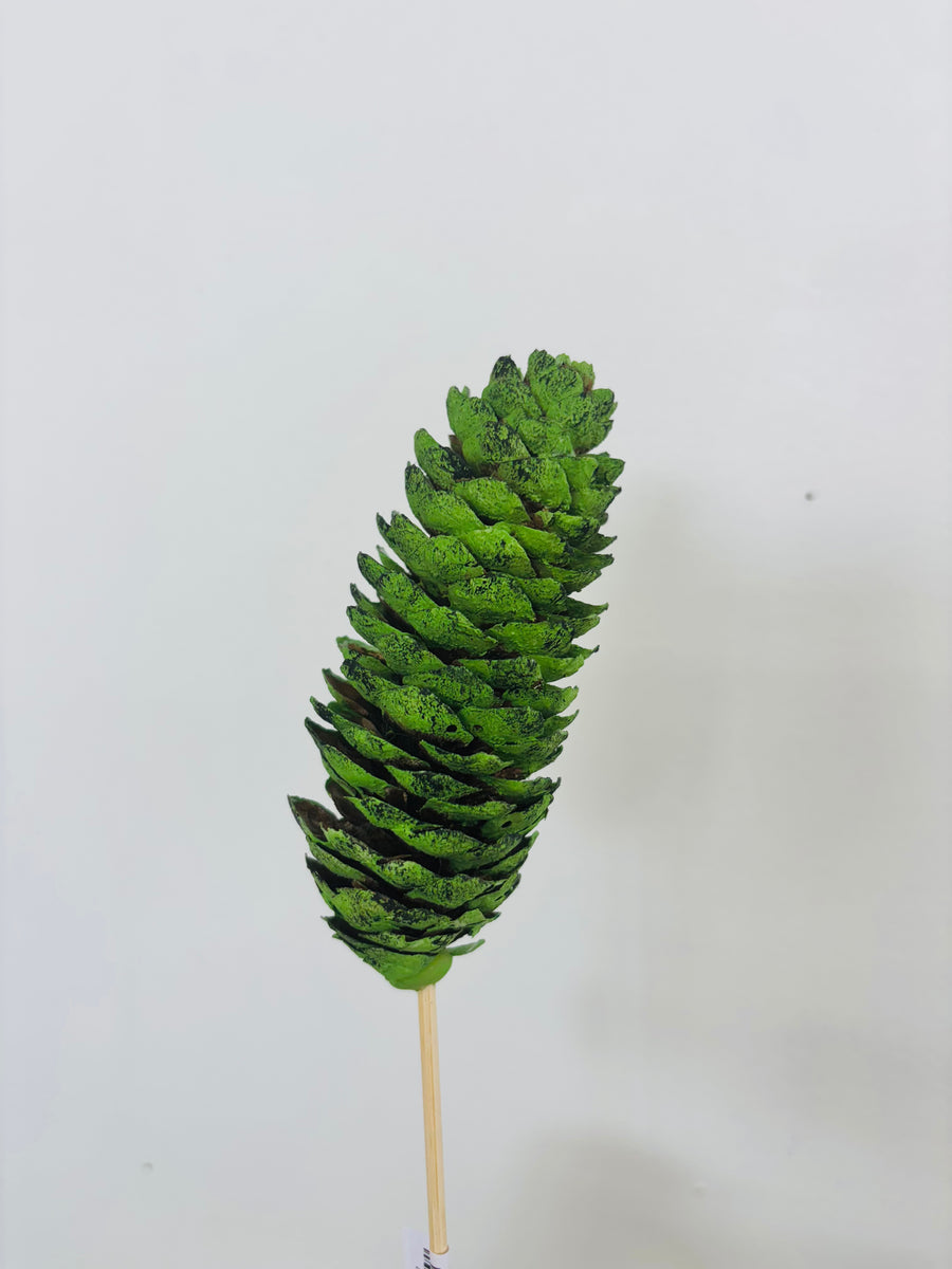 Single Pinecone Flower