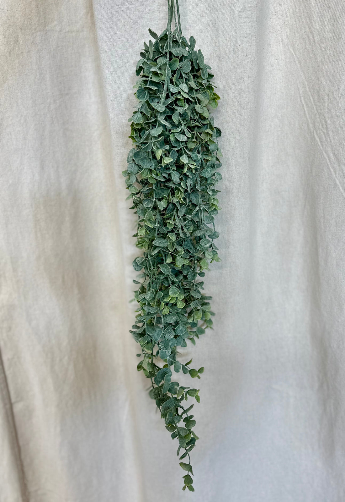 Green Eucalyptus Hanging Bush