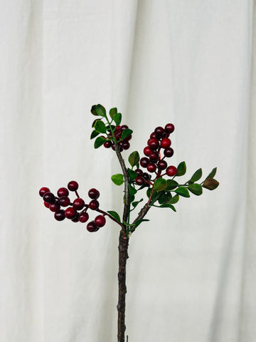 Red Berry Branch Pick