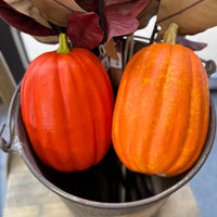 Pumpkins - 9.5"