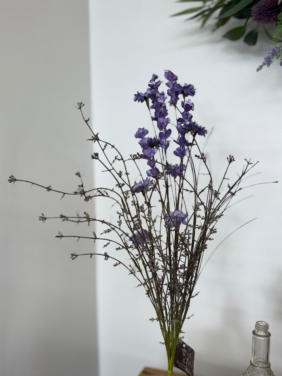 Aster Delphinium Bush - Purple - 23"