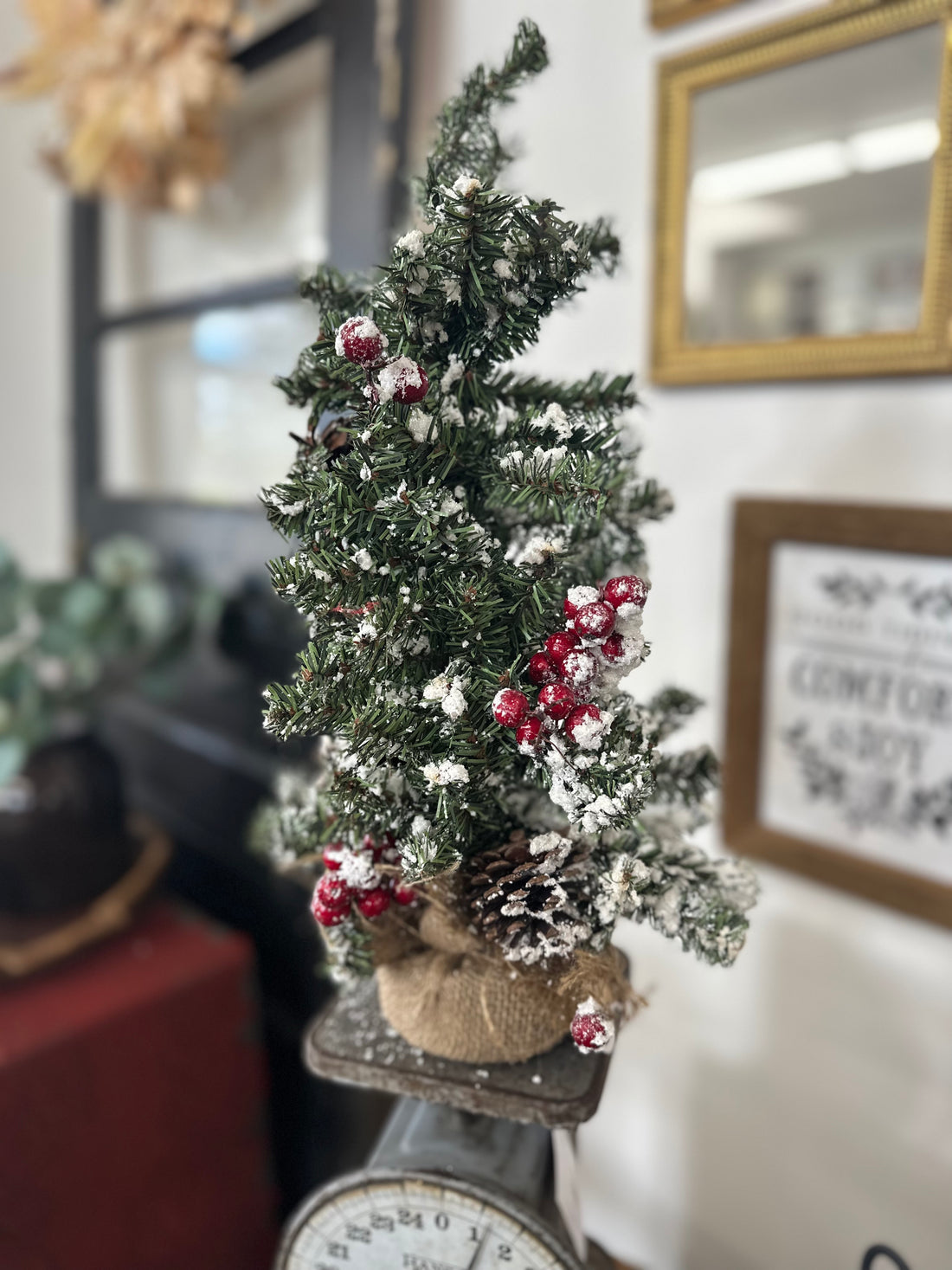 Flocked Christmas Tree and Cranberries