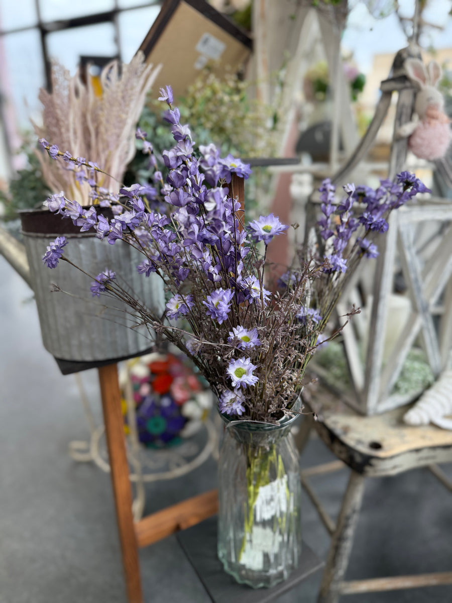 Aster Delphinium Bush - Purple - 23"