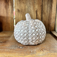Tan Textured Resin Pumpkin