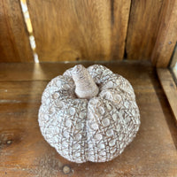 Tan Textured Resin Pumpkin