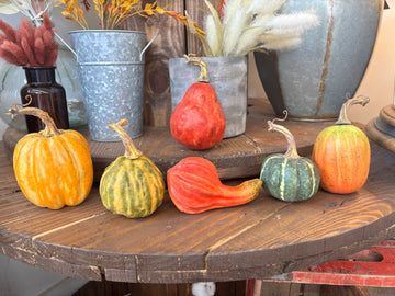 Gourds - 6 pieces