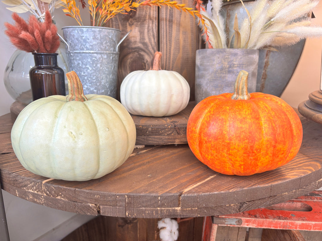 Pumpkins - 6"