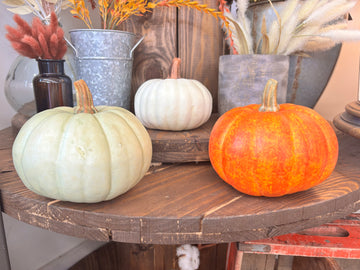 Pumpkins - 6"