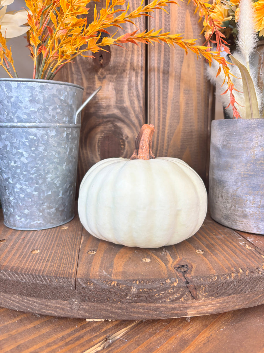 Pumpkins - 6"