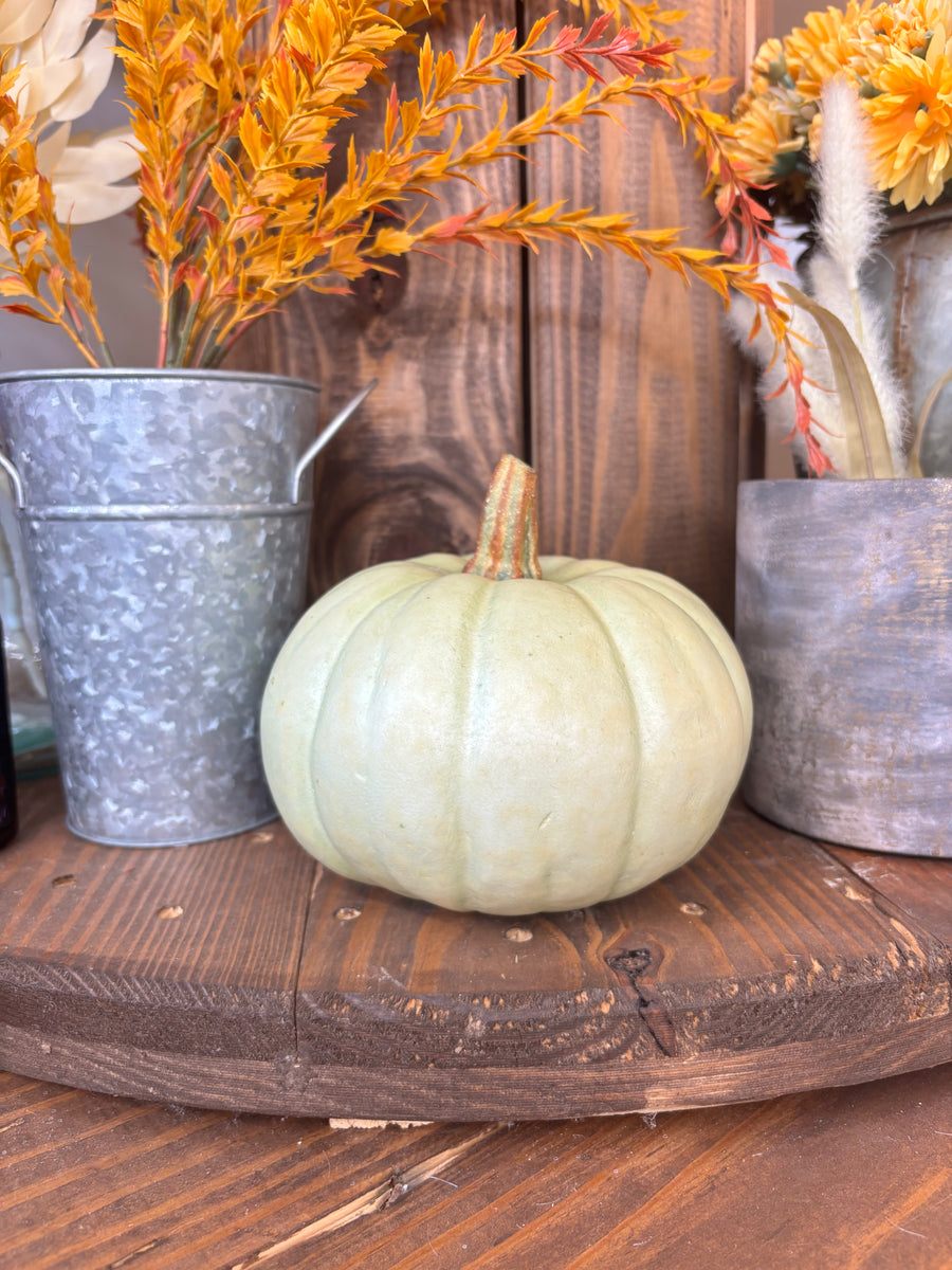 Pumpkins - 6"