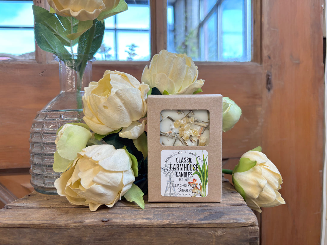 Lemongrass Ginger Organic Melt Bar