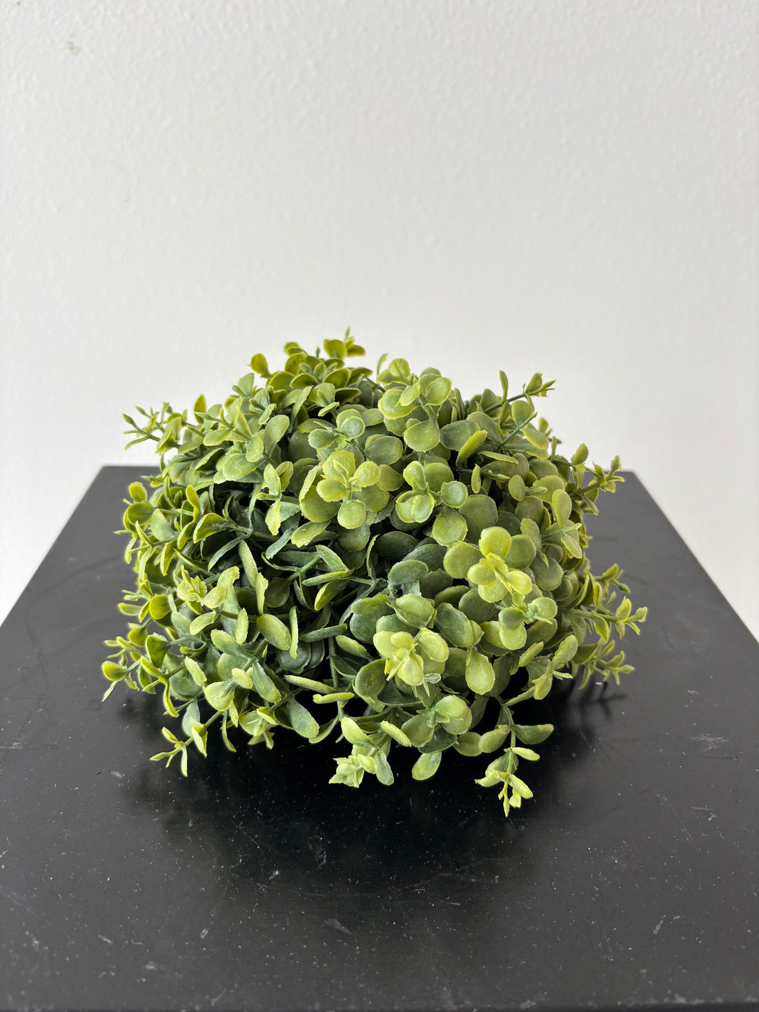7" Boxwood Half Ball