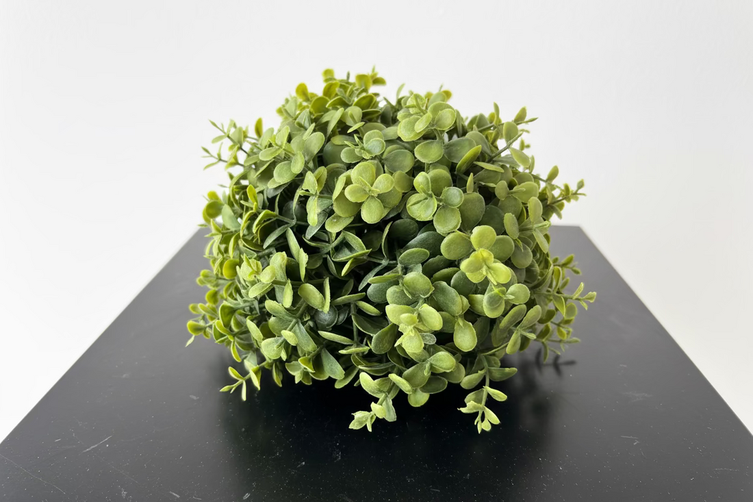 7" Boxwood Half Ball