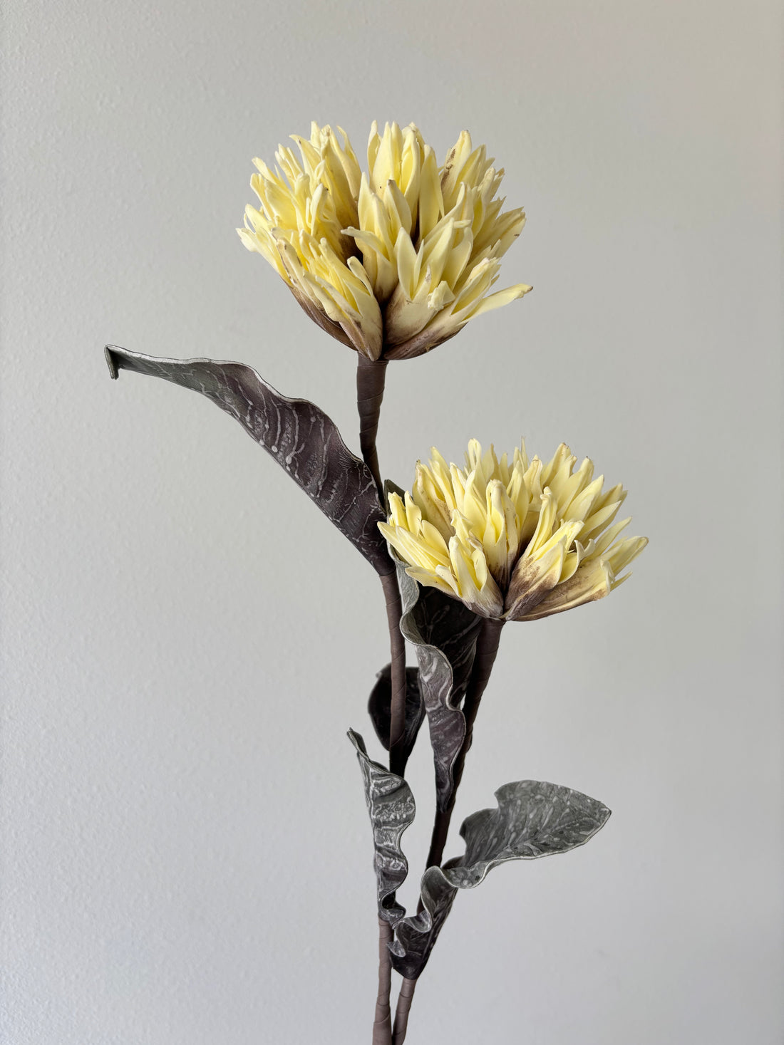 39" Yellow Popodopolus Spray