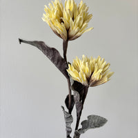39" Yellow Popodopolus Spray