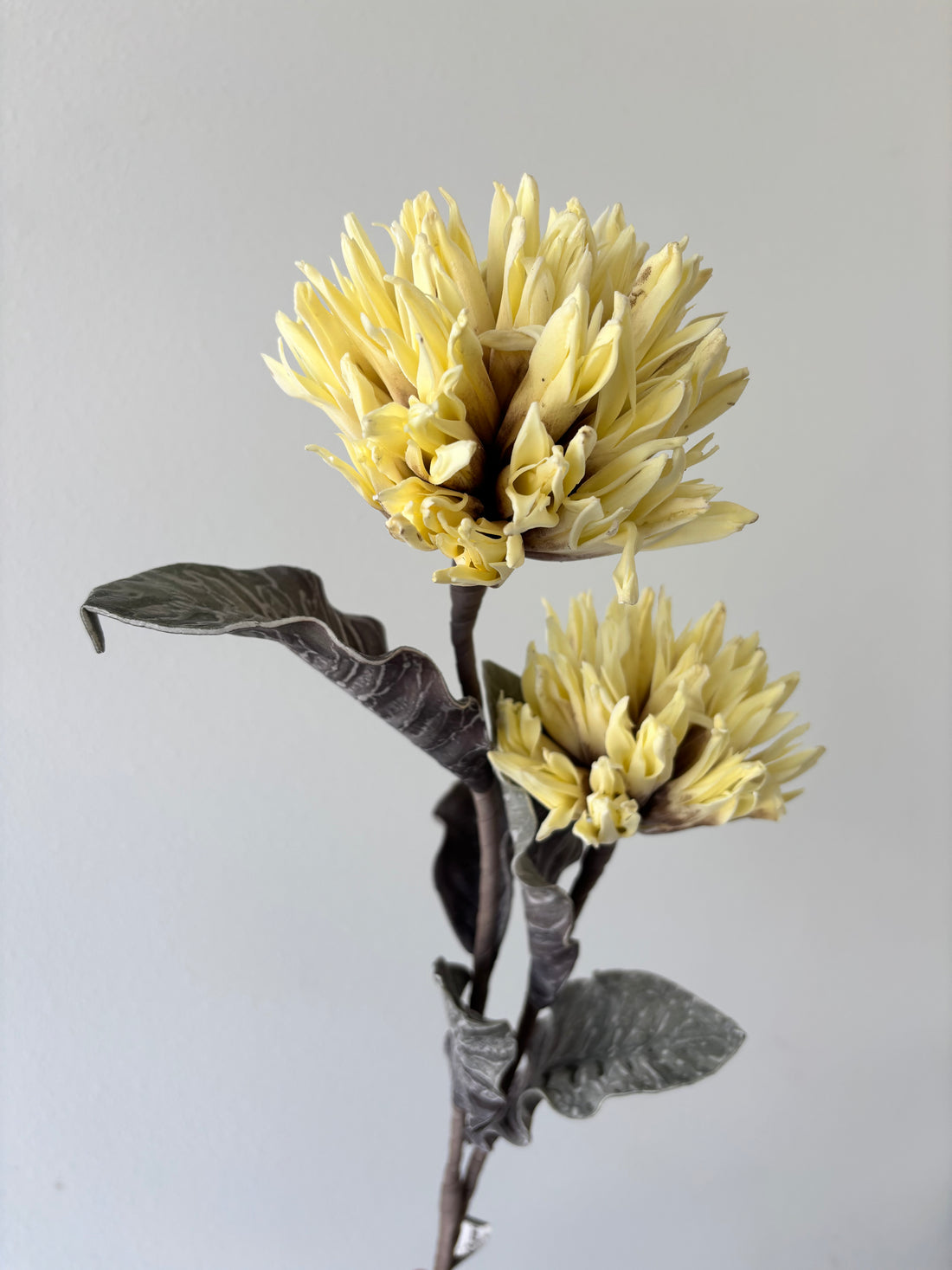 39" Yellow Popodopolus Spray