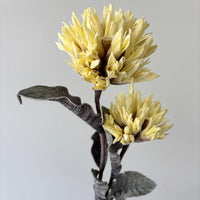39" Yellow Popodopolus Spray