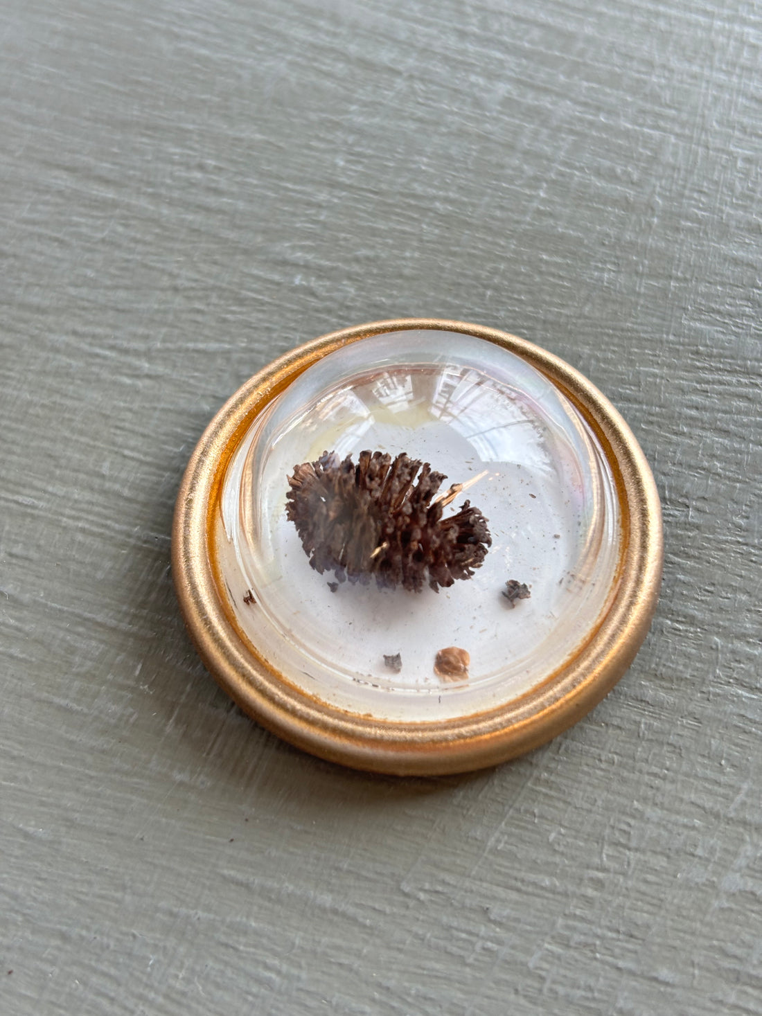Tiny Treasures Magnets