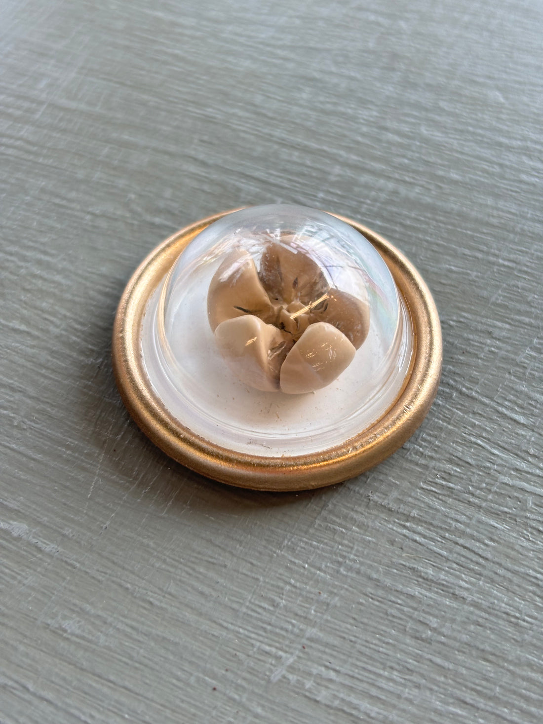 Tiny Treasures Magnets