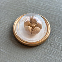 Tiny Treasures Magnets