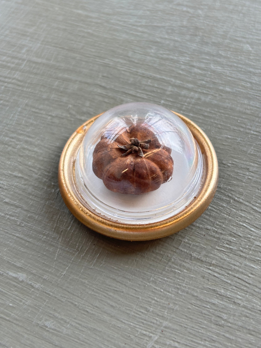 Tiny Treasures Magnets