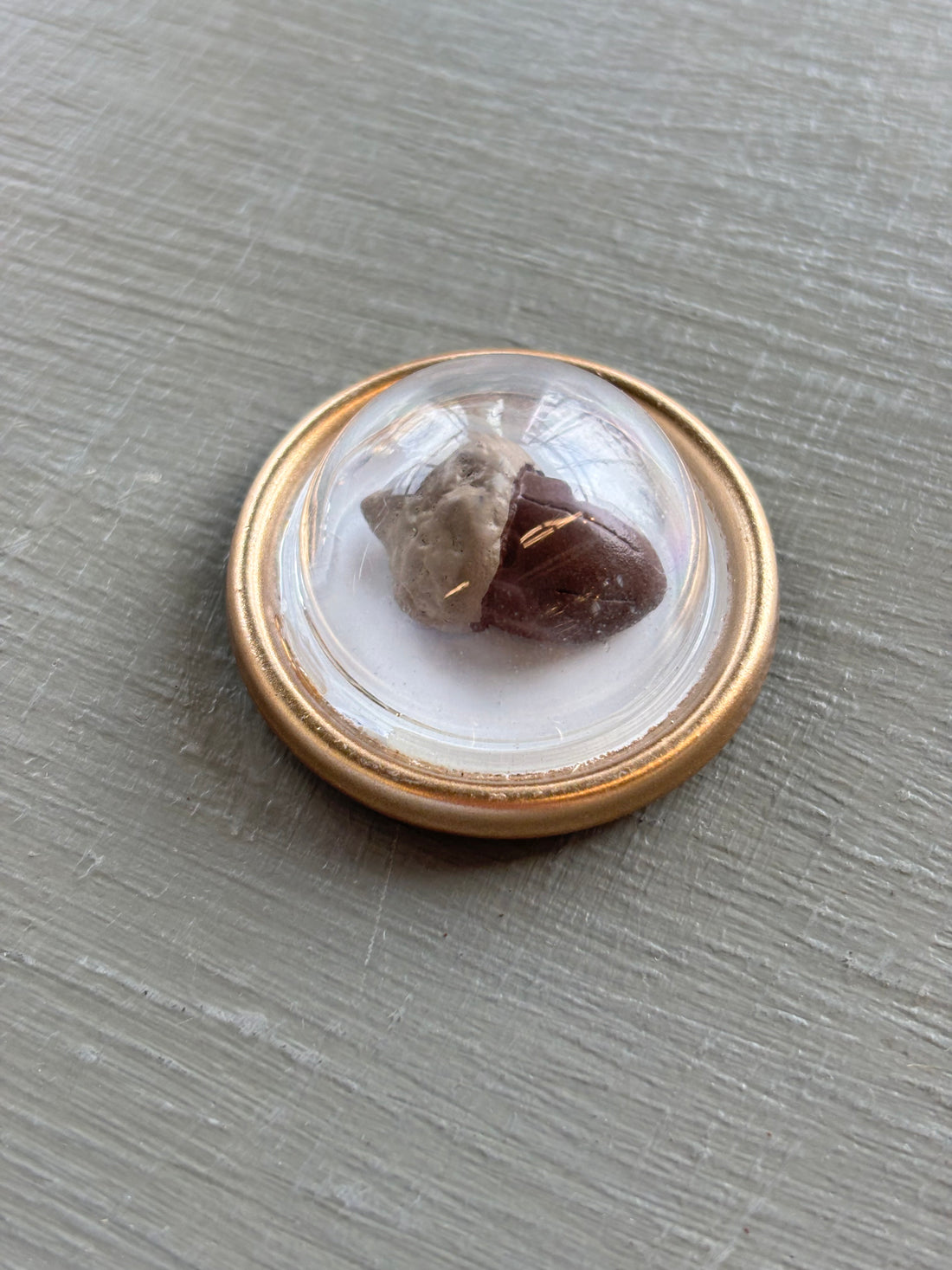 Tiny Treasures Magnets