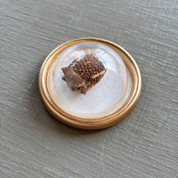 Tiny Treasures Magnets