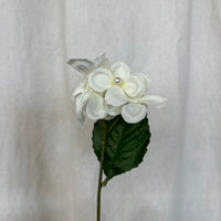 White Beaded Hydrangea Stem