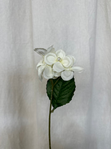 White Beaded Hydrangea Stem