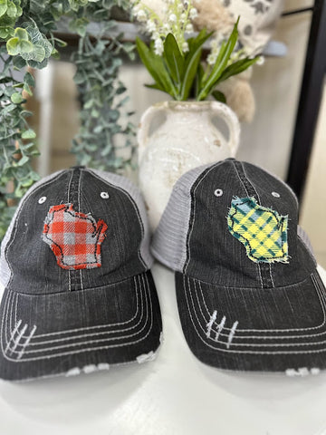 Distressed Wisconsin Hat