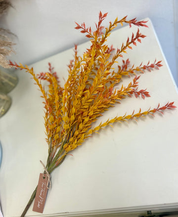Orange Red Grass Spray