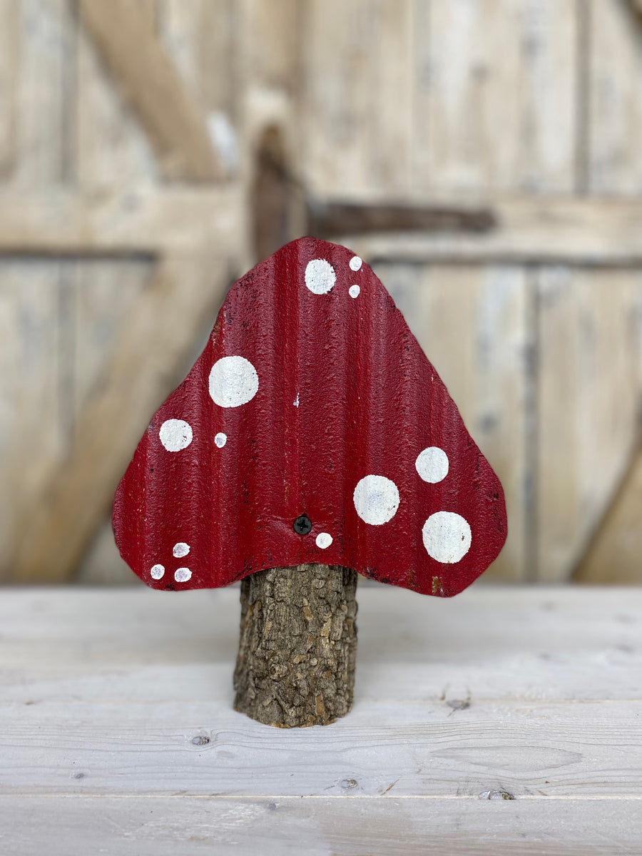 Metal Frog with Hello Sign & Mushroom