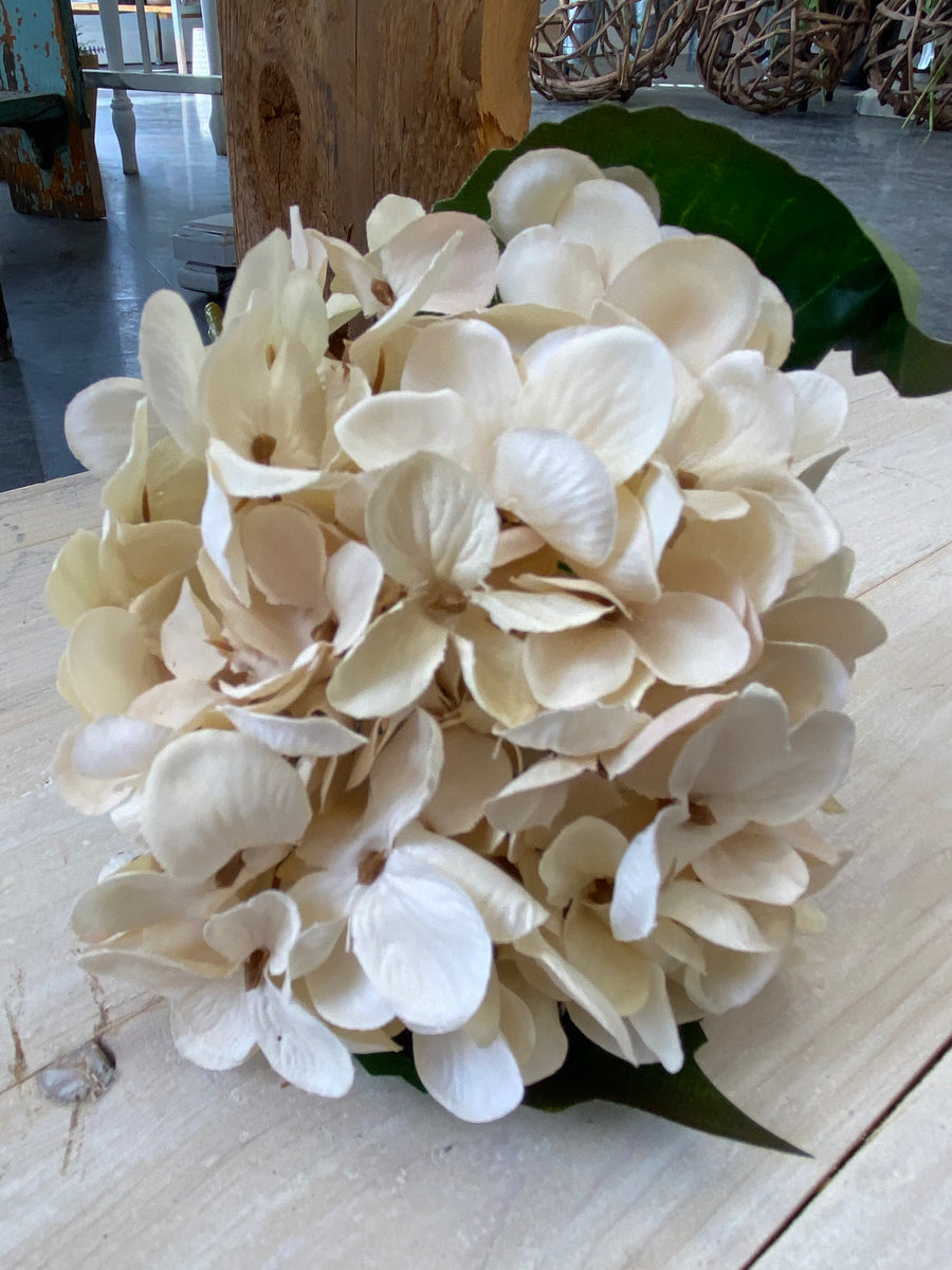 13" Cream Hydrangea Pick