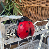 Resin Ladybug Pot Hanger