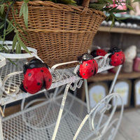 Resin Ladybug Pot Hanger
