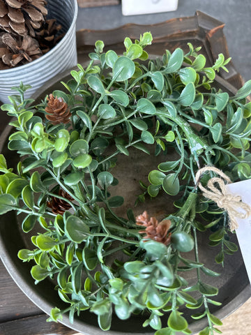 Miniature Dischidia Wreath