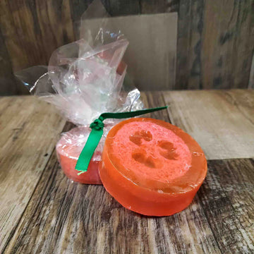Watermelon Loofah Soap