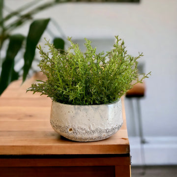 Textured Oval Vase with Greens