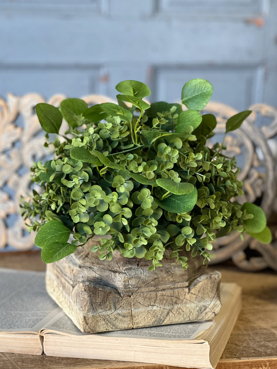 12" Ashford Eucalyptus Half Sphere