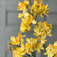 34" Yellow Windmere Blossoms