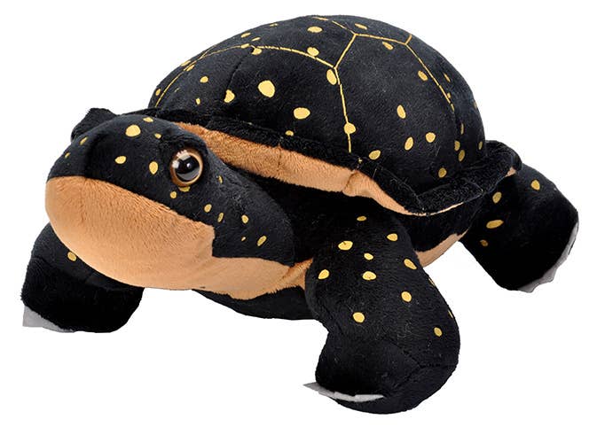 Spotted Turtle Stuffed Animal 12"
