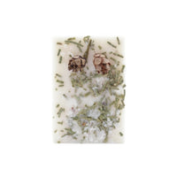 Fir Tree Organic Melt Bar