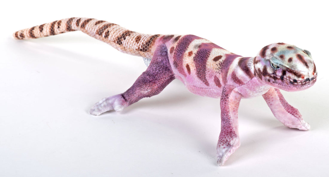 Coilkins Western Banded Gecko Stuffed Animal 12"