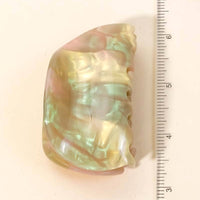 Acetate Jaw Hair Clips