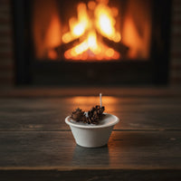 Scented Fire Starters