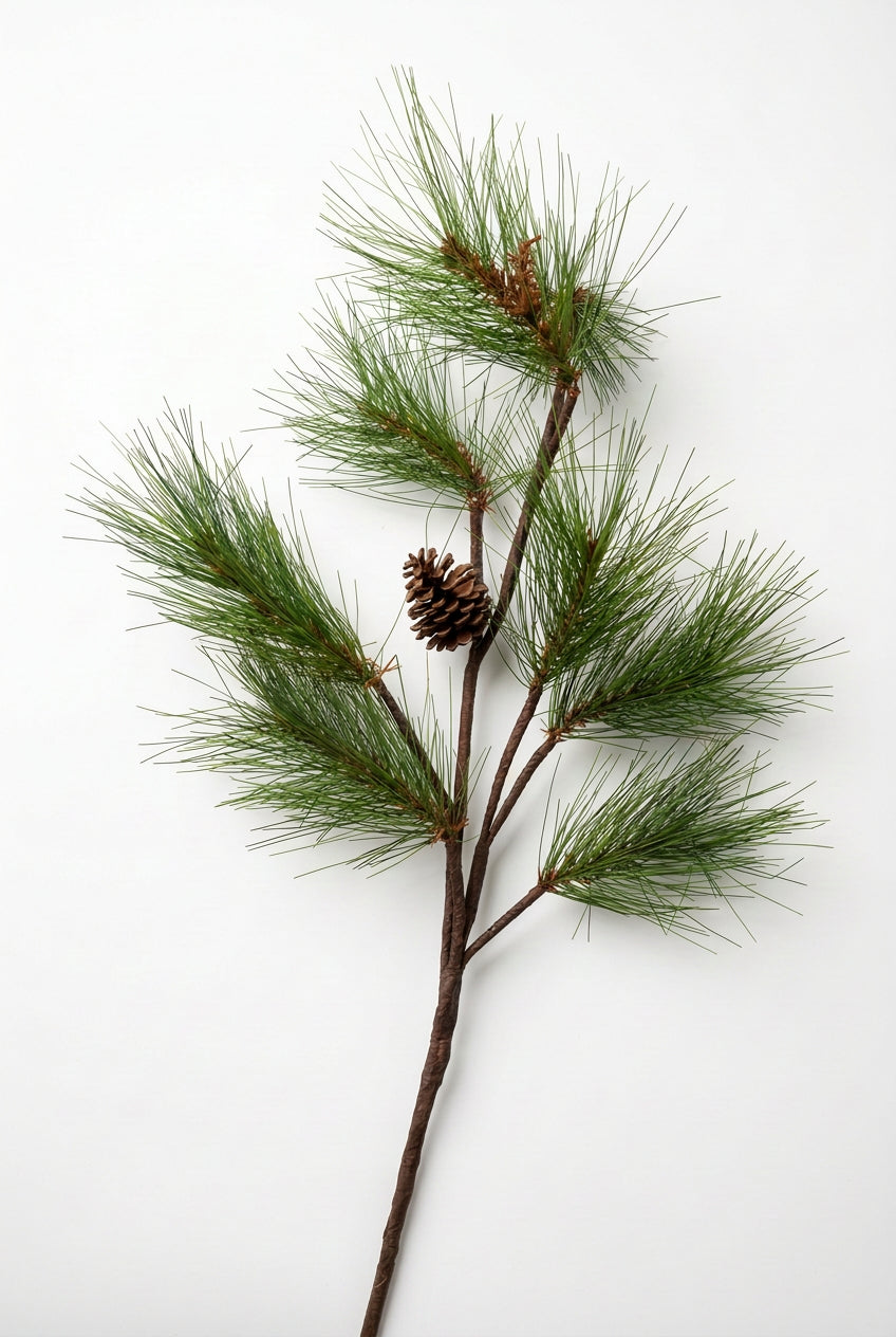 Winter Pick + Pine Cone
